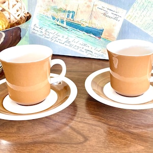 Vintage MidCentury Mikasa- Cera-Stone D1800 Cup & Saucer Set