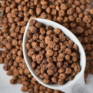 May include: A white measuring cup filled with brown tiger nuts. The cup is sitting on a white surface surrounded by more tiger nuts.