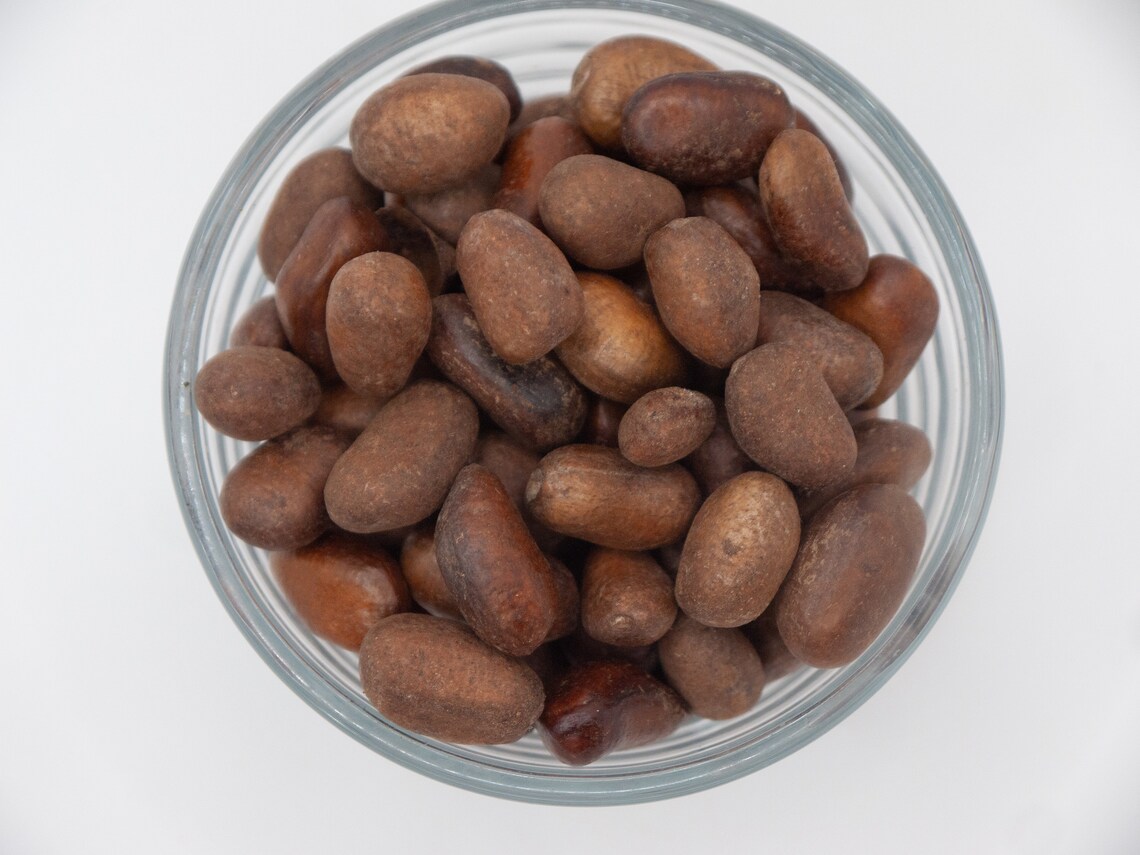 Calabash Nutmeg Jamaica Nutmeg monodora Myristica Whole Etsy Australia