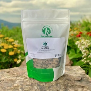 May include: A clear plastic bag of Nep Nep, a product from kopabana, with a green and white label. The label includes the kopabana logo and product information. The bag is filled with dried herbs, and the background features green foliage and flowers.