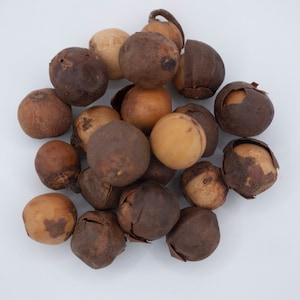 Whole Country onion, Rondelles, Afrostyrax lepidophyllus, Olum, Bobimbi 3.4 oz
