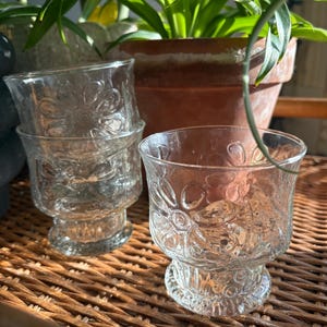 Zestaw dziesięciu zabytkowych szklanek do soku MCM Libbey Glass Country Graden Daisy