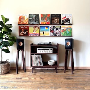 Prateleira de madeira maciça para discos de vinil: Exibe 5 LPs.