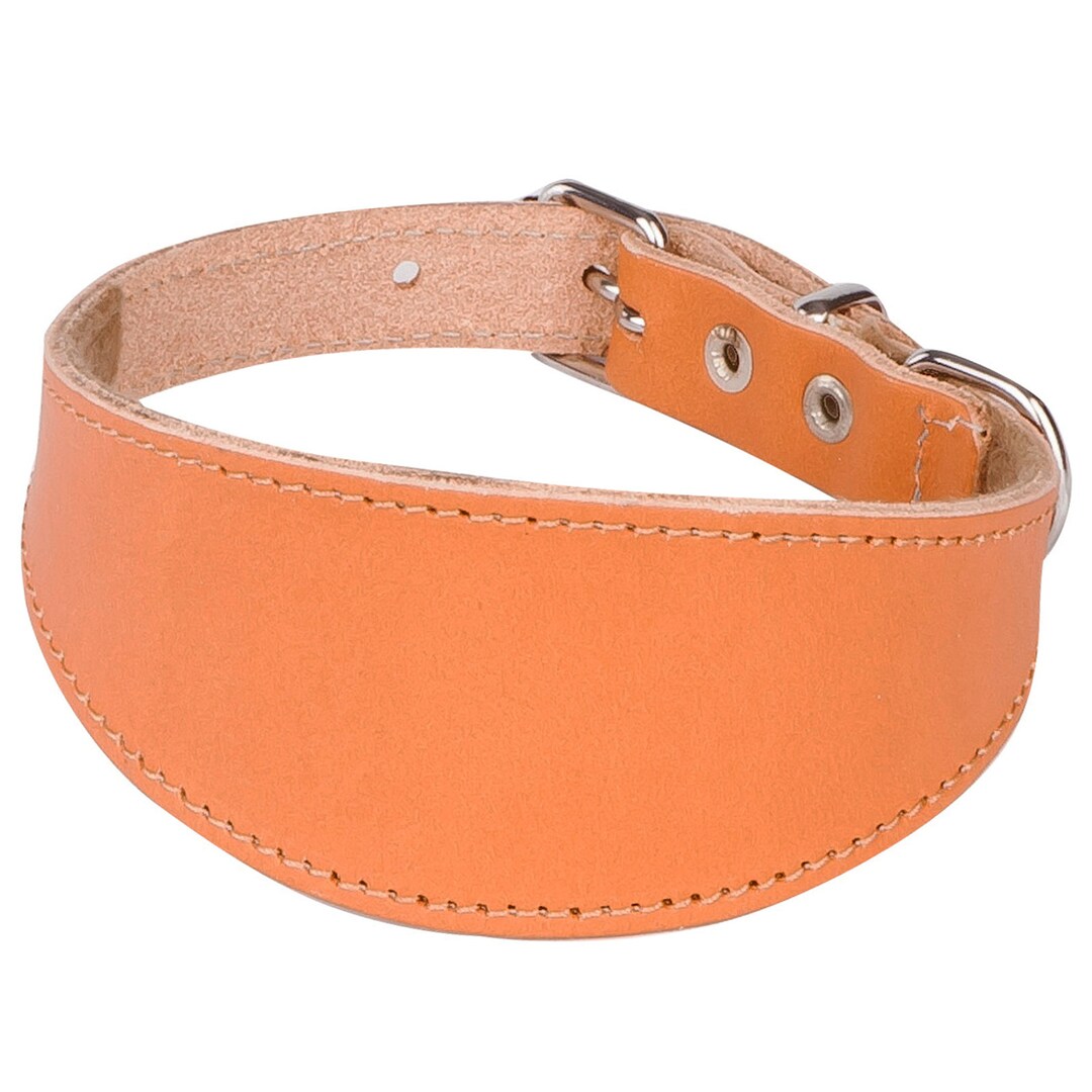 Dogcentre® Brown Handmade Whippet Collar Leather Greyhound Etsy