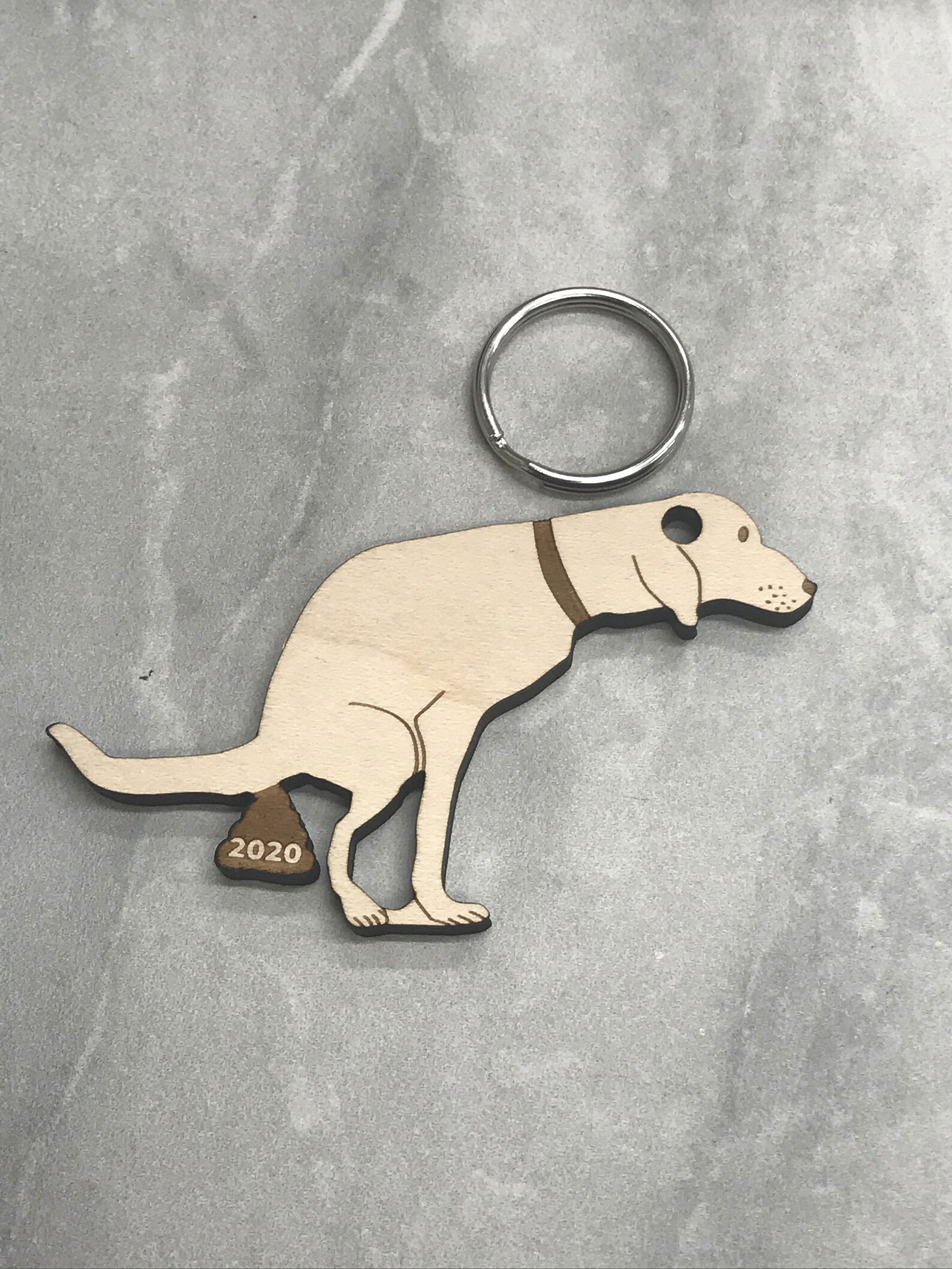 Dog Poop 2020 Keychain Dog Poop Key Chain COVID Dog Poop Etsy