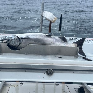 May include: A large silver fish measuring tool with a silver fish lying on top of it. The fish is on a white surface with a silver handle and a silver latch. The background is a blue body of water.