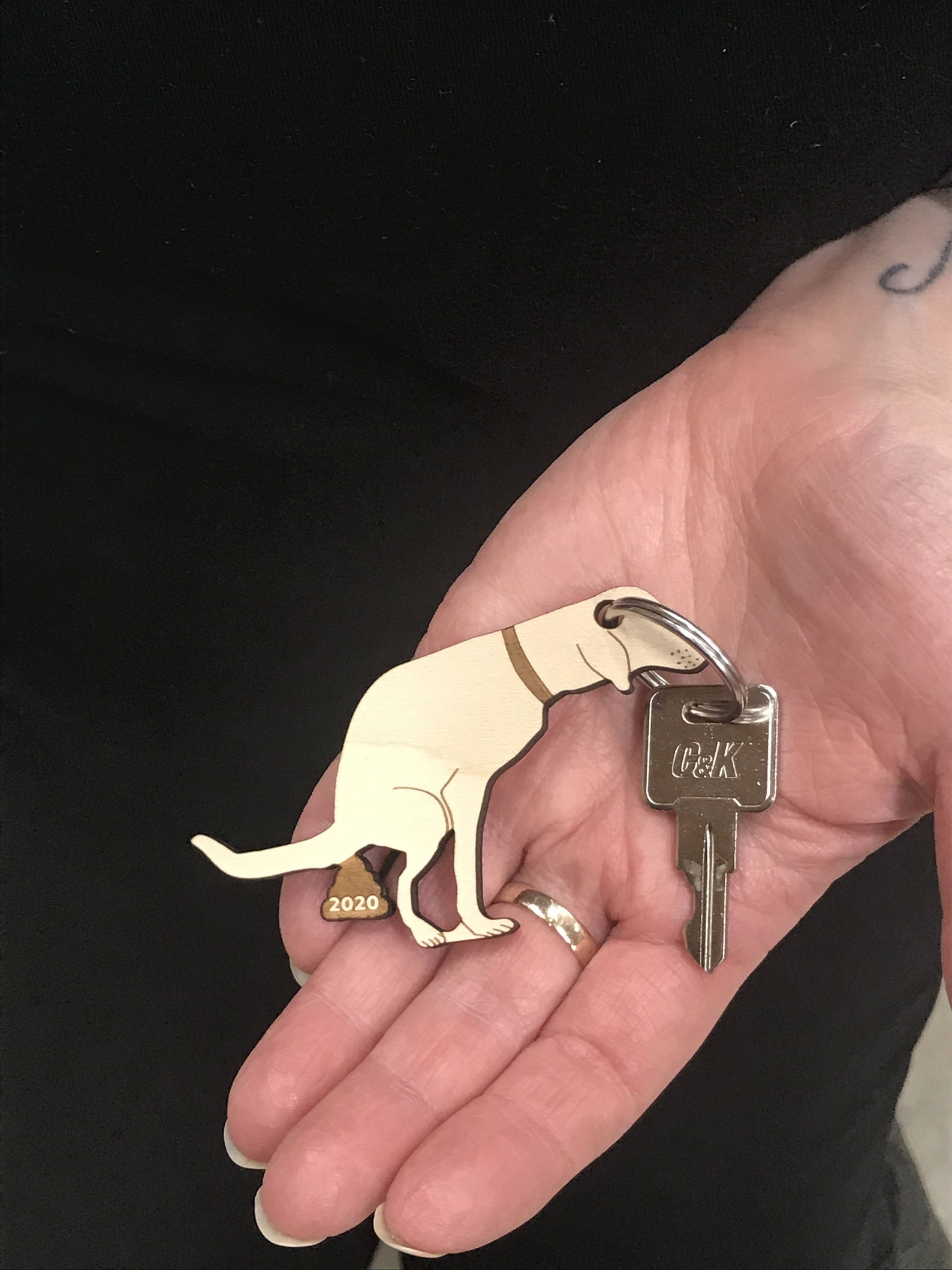 Dog Poop 2020 Keychain Dog Poop Key Chain COVID Dog Poop Etsy