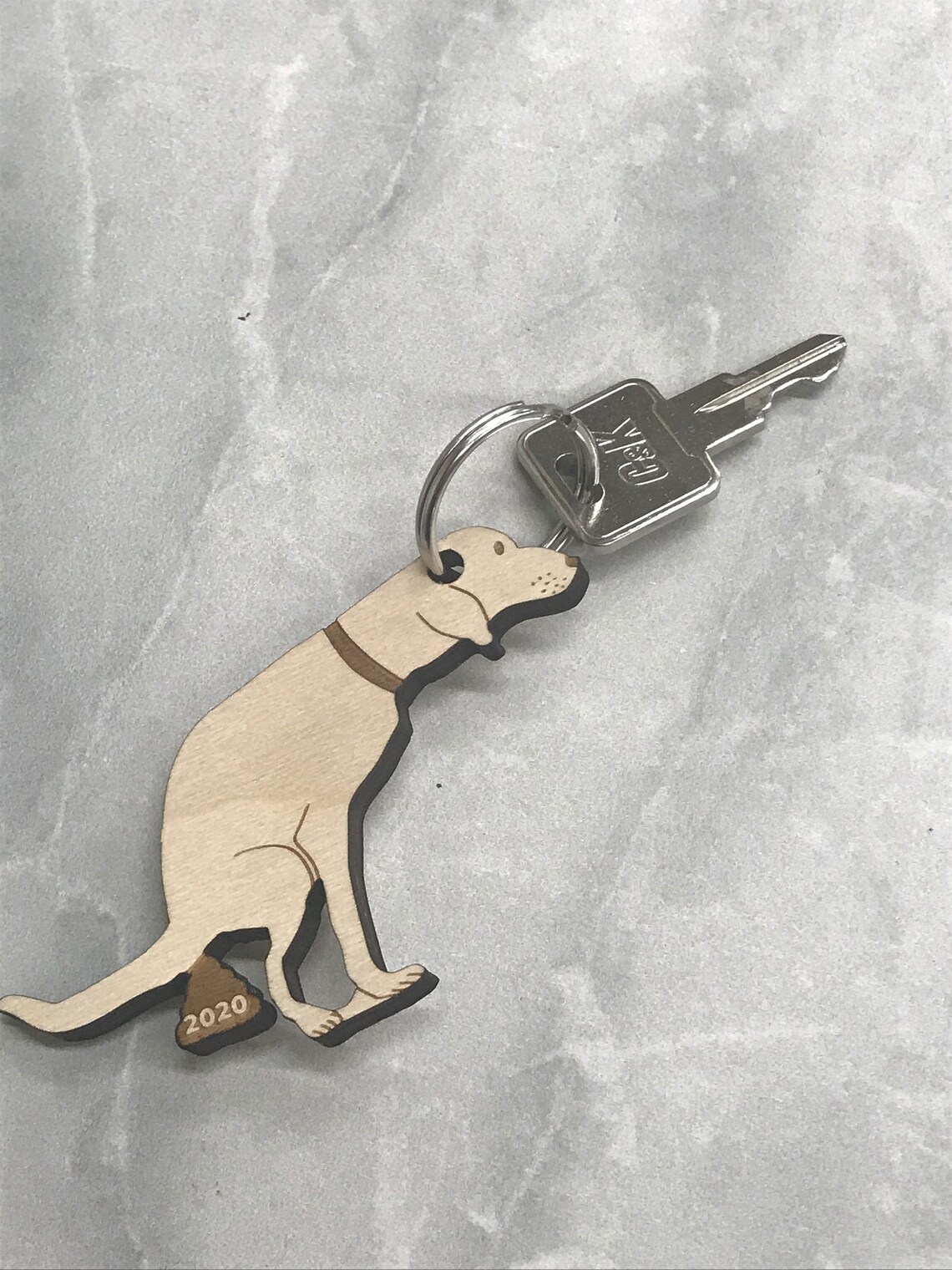 Dog Poop 2020 Keychain Dog Poop Key Chain COVID Dog Poop Etsy