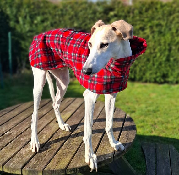 Fleece Whippet Red Greyhound Lurcher Whippet Single Layer Fleece