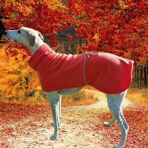 Greyhound / Lurcher / whippet fleece dog coat - &#39;Marmalade Buttons&#39; design