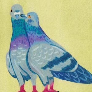 Pigeon Print