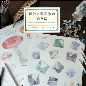 Mineral & Wissenschaftsraum Malbuch - Japanische Malbuch Handwerk Buch Illustration