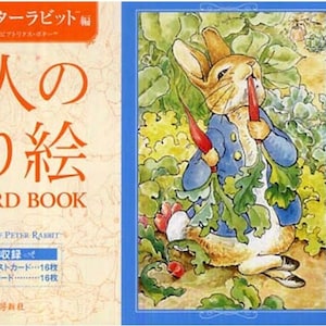 Kleurboek voor volwassenen PERSOONLIJKE BOEK Energetische Peter Rabbit Japanse illustratie