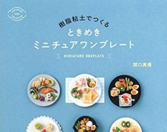Mayu Sekiguchi Tokimeki Miniature One Plate Made of Resin Clay - Japanese Craft Book