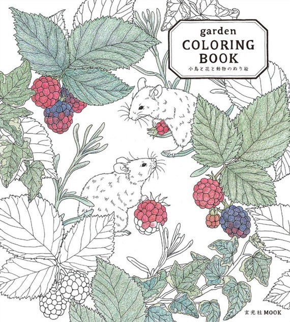 garden COLORING BOOK Little Birds, Flowers and Animals - Japanese Coloring Book  illustration