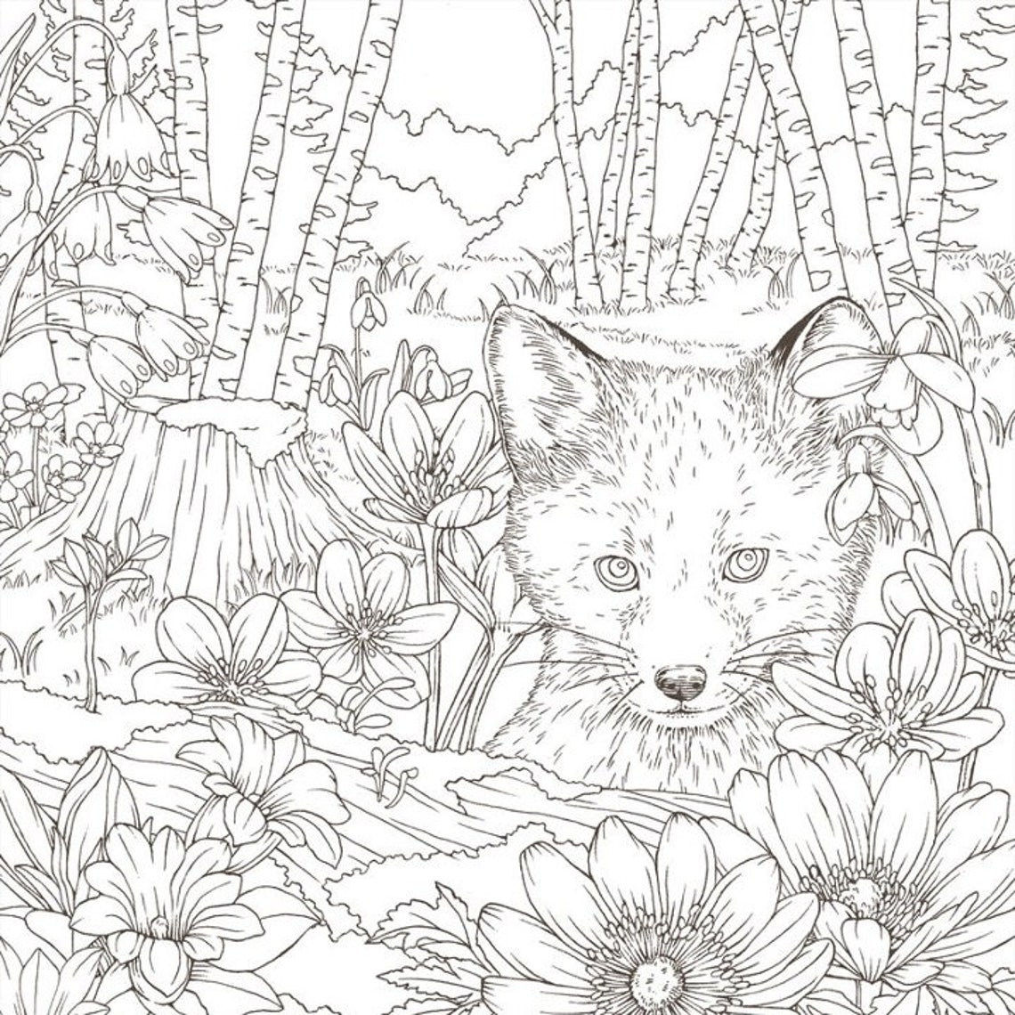 Download Symphony of Cute Animals Japanese Coloring Book by Kanoko ...