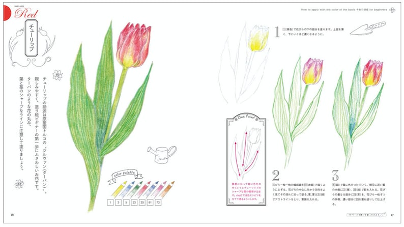 Japanese Coloring Book illustration Cute and Easy Coloring Lesson Book
