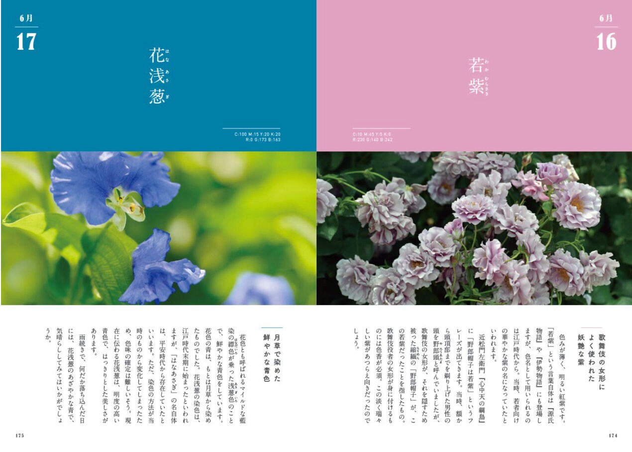 365 Days Japanese Color Picture Book Japanese Craft Book Etsy