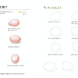 K&ouml;nnte beinhalten: Eine Schritt-f&uuml;r-Schritt-Anleitung zum Zeichnen eines Eies in verschiedenen Positionen. Das Bild zeigt ein Ei, das in verschiedenen Winkeln gezeichnet ist, mit Anweisungen auf Japanisch.