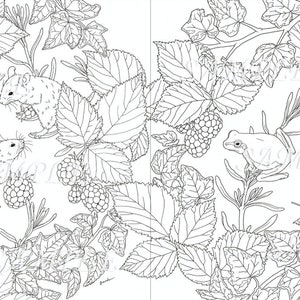 May include: A black and white line drawing of a forest scene with two mice, a frog, and a snail. The scene is filled with leaves, berries, and vines.