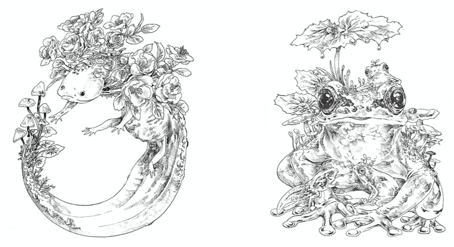 Ken Matsuda Coloring Book Japanese Coloring Bookillustration - Etsy