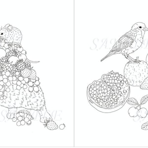 May include: A black and white line drawing of a rabbit with a mouse on its back, surrounded by grapes and berries. On the right side of the image, a bird sits on an apple next to a pear, pomegranate, and berries.