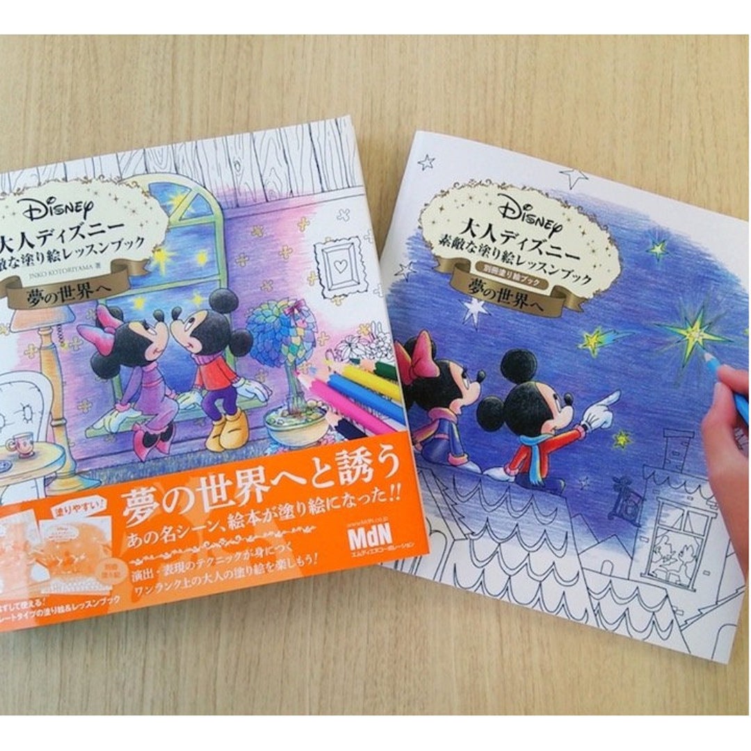 Adult Disney To The Dream World A Wonderful Coloring Lesson Etsy