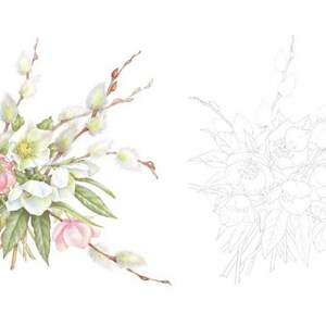 May include: A watercolor painting of a bouquet of white and pink flowers with green leaves and willow branches. The flowers are arranged in a loose, natural style. The painting is done in a realistic style.