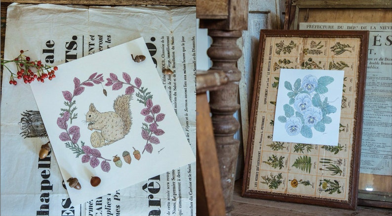 May include: Two framed illustrations, one with a squirrel surrounded by leaves and acorns, and the other with a cluster of blue and white flowers.