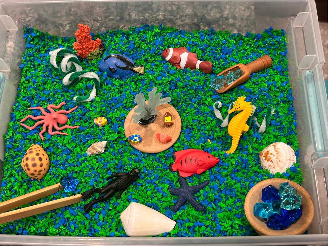 Ocean Sensory Bin, Coral Reef Habitat, Sensory Kit, Sensory Bin, Ocean ...