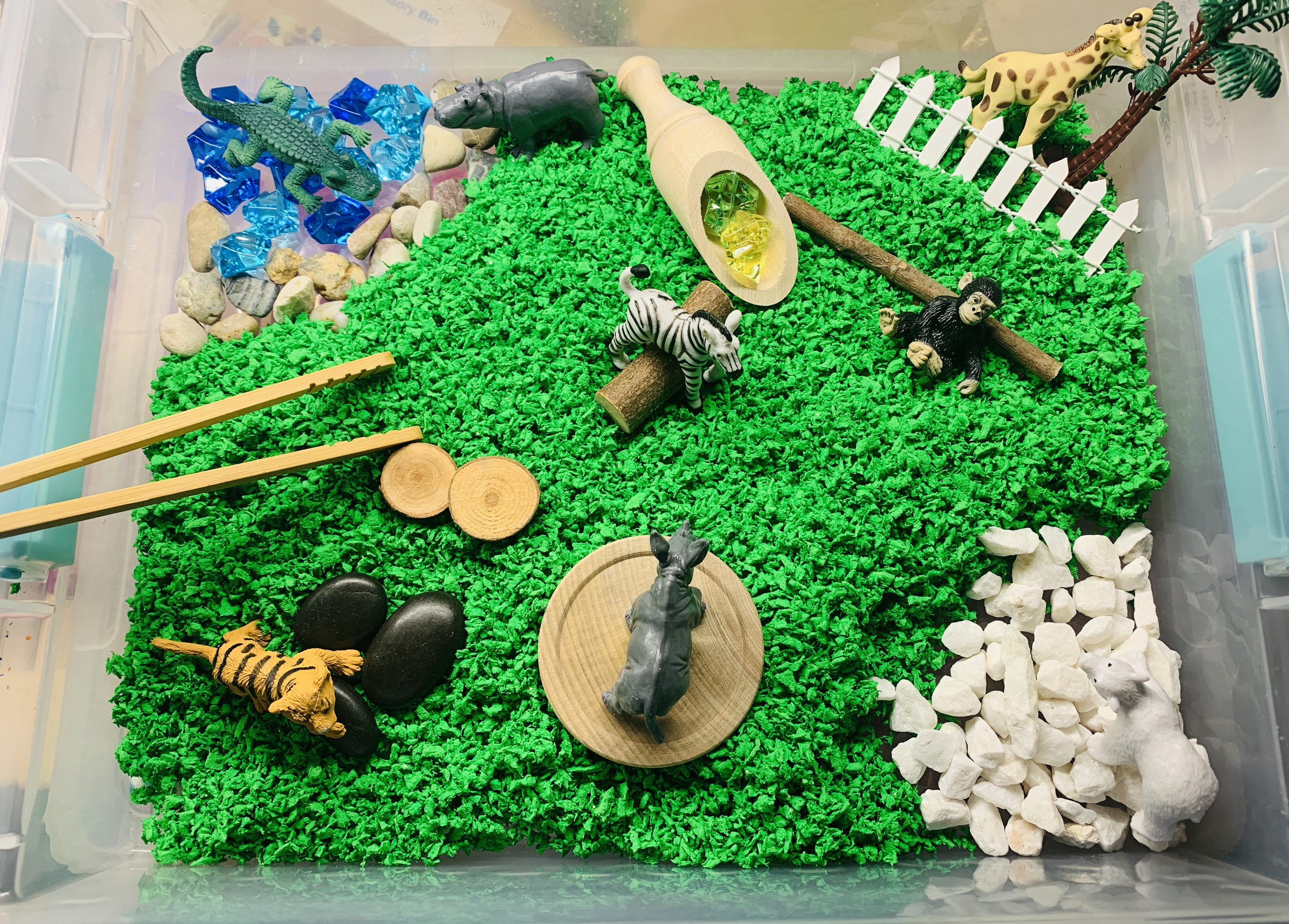 Zoo Babies Sensory Bin Sensory Bin Zoo Animals Sensory Etsy