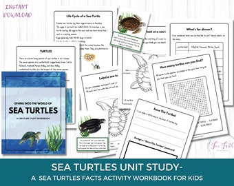 Sea Turtles Unit Study, Facts Workbook, Coloring Pages (Digital Download)