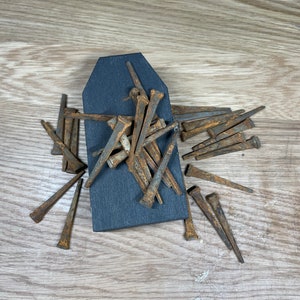 7 Sturmgerostete Sargnägel - Zauber - Hoodoo - Ritual - Binden - Verhexen - Flüchen