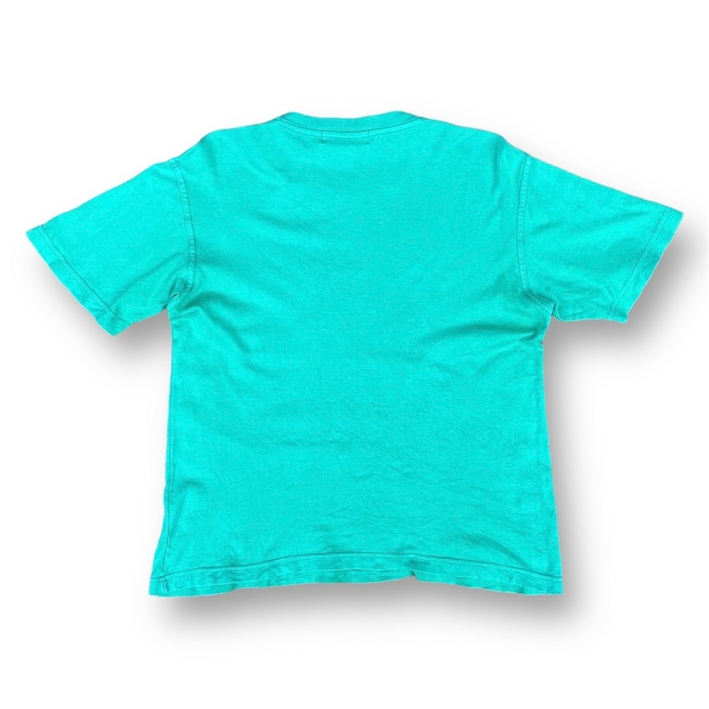 Puede incluir: Una camiseta lisa de color azul turquesa con mangas cortas.