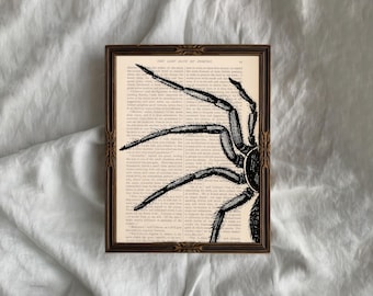 Halloween Spinne Print: Ein gruseliges, gruseliges Wörterbuch (Digitaler Download)