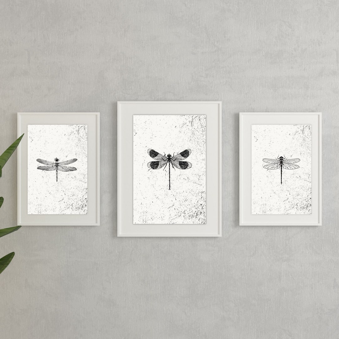 Dragonfly Wall Art Decor 3 Piece Wall Art Dragonfly Art Etsy