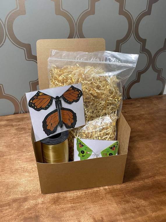 Personalized Gift Box Full of Items Anyone Would Love!