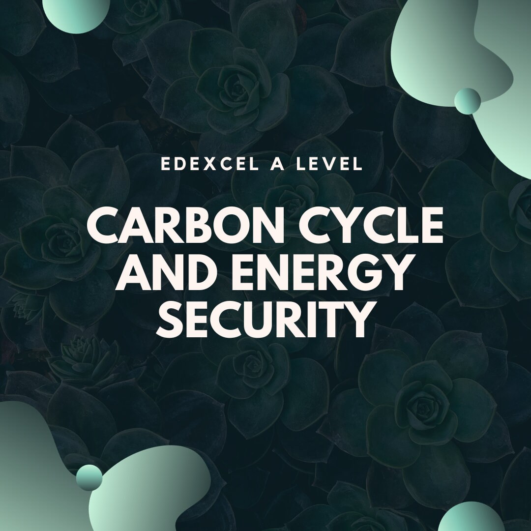 The CARBON CYCLE and ENERGY Security A Level Geography Revision Guide ...