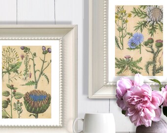 Printable Blue Botanical | Etsy