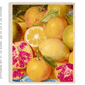 Lemons print, vintage citrus fruit painting, pomegranates, vintage kitchen, botanical fine art print, oil painting, instant download.