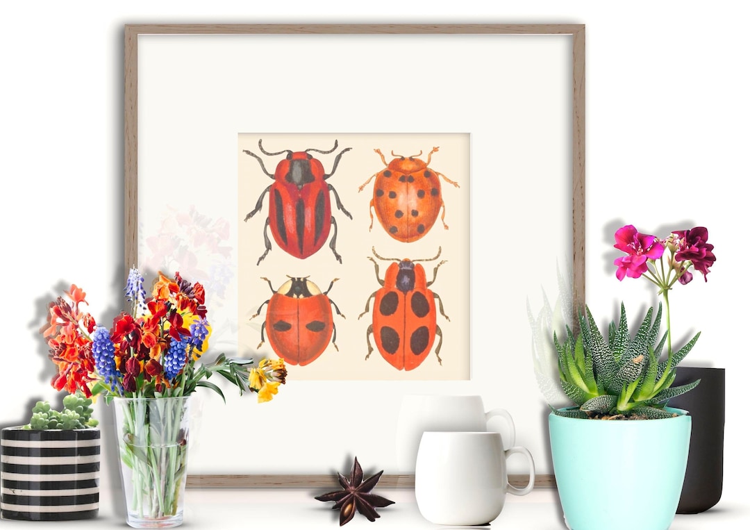 Ladybug Wall Art, Ladybird Print, Red Kitchen Decor, Vintage Beetles ...
