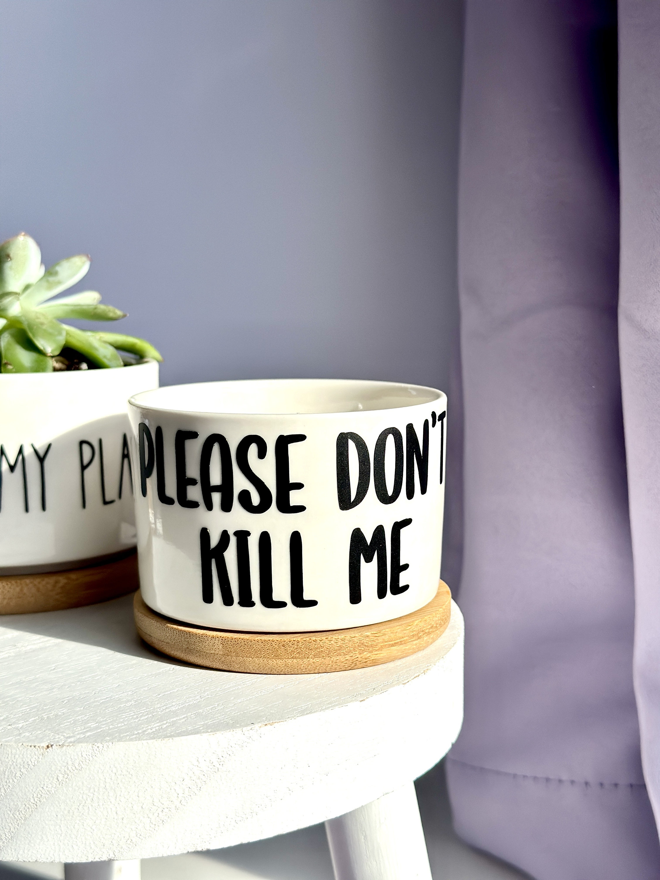 Funny Planters, Funny Plant Pot, Mini Succulent Planter, Plant Lover ...