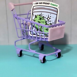 May include: A purple miniature shopping cart with a sticker that says "I can buy myself flowers" and a cartoon image of a bag of green flowers.