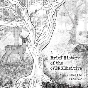 A Brief History of the oVERSEnsitive Zine / Collection of poetry