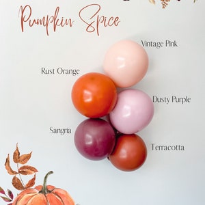 Fall Mauve DIY Balloon Garland Kit | Cherry Bridal Shower | Baby Shower | Fall Party Decor | Thanksgiving Decor | Rustic Bridal Shower