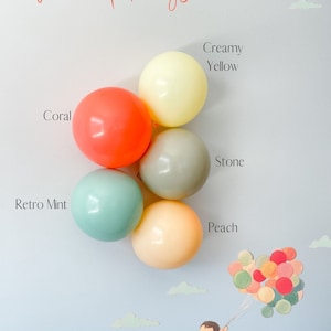 The Wonderful Things You Will Be Balloon Garland Kit | First Birthday Balloon Arch | Wonderful Things You Will Be Party Decor | Kids Party