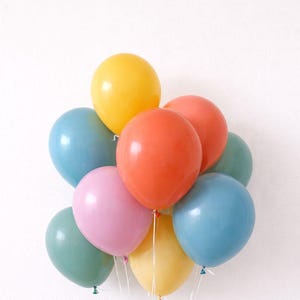 Boho Regenbogen Latex Ballons Muted Regenbogen Ballons Erster Geburtstag Bunt Retro Party Tier Geburtstag Eine verrückte Gans Es macht Spaß, einer zu sein