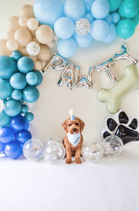 Kit Ghirlanda Palloncini Per Compleanno Cane JeVenis - Let's Pawty, Decorazioni Blu Con Ossa E Zampe