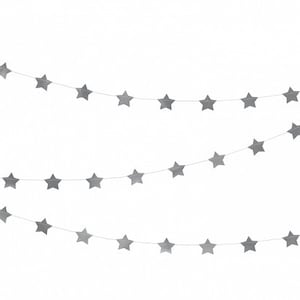 Silver Star Garland | Silver Star Banner | Trip around the Sun | Twinkle Twinkle Little Star | Space Party Theme | Two the Moon | Birthday