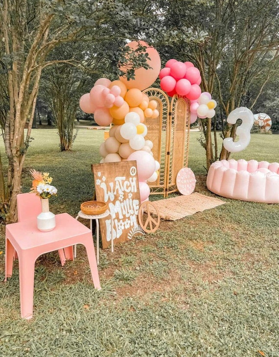 Daisy Flower Girl Boho Pink Peach DIY Balloon Garland Kit First Birthday Party  Decor Balloon Arch Baby Shower Boho Bridal Shower Decor -  Canada